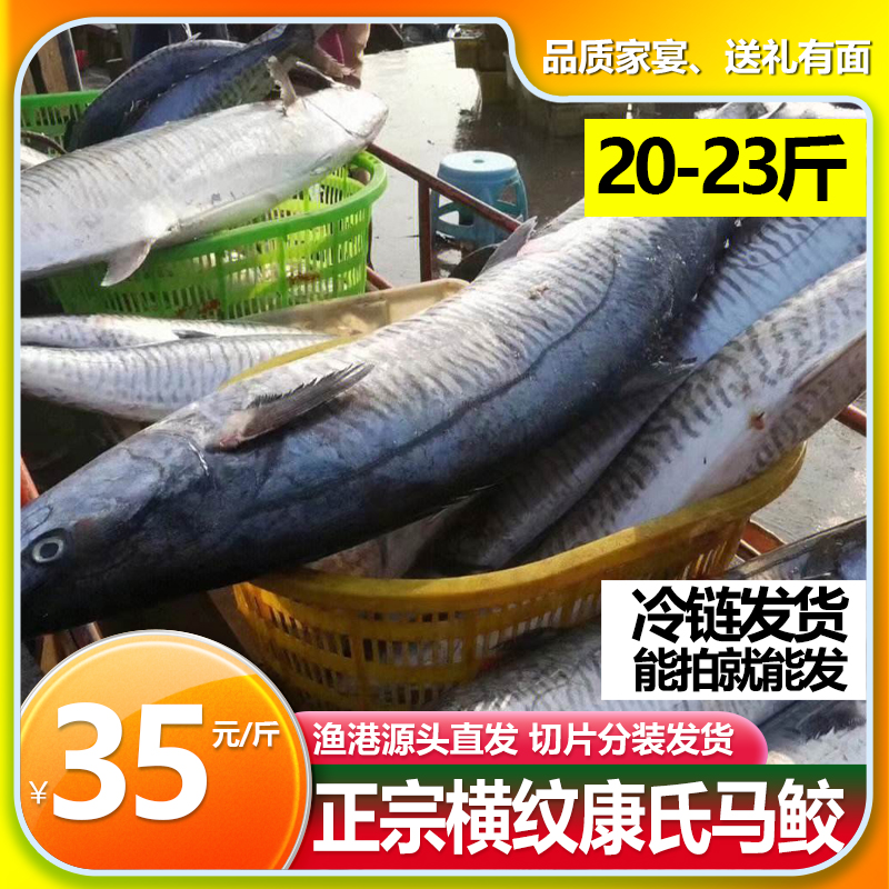 20-23斤大马鲛鱼（原条代切） 广东横纹马鲛冷链发货