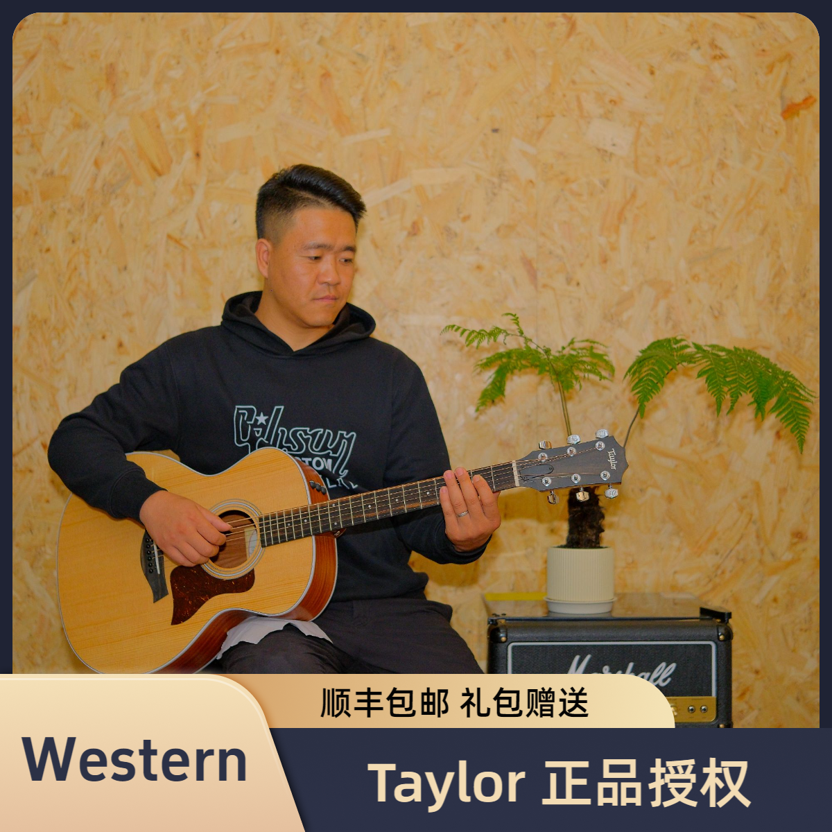 Taylor 泰莱吉他western10/14面单电箱指弹 弹唱民谣木吉他墨西哥