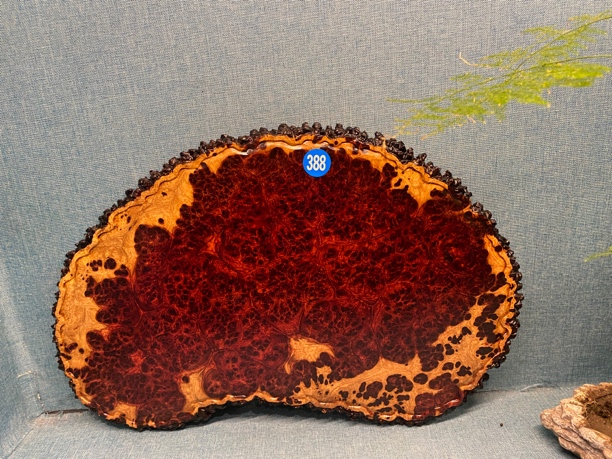 缅甸花梨干泡台茶杯垫茶盘茶台茶几茶具尺寸37*24*1.2