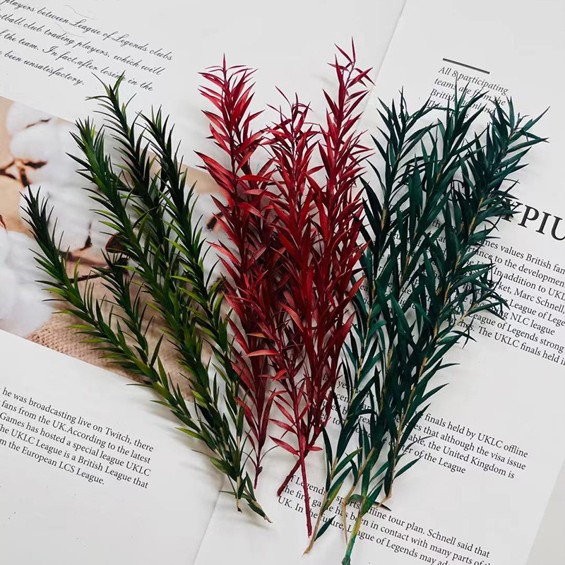 永生花千层金招财干花配草香薰蜡烛圣诞花环藤圈材料Diy居家装饰