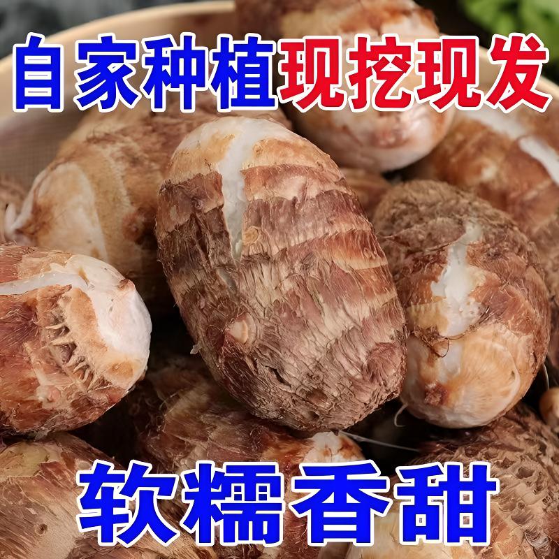 汉中农家自家种植小芋头