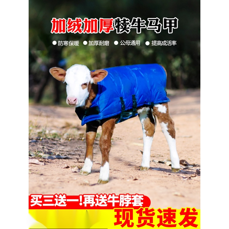 牛犊马甲小牛加厚防寒马甲牛犊子保暖防水棉衣养牛场犊牛保温衣服
