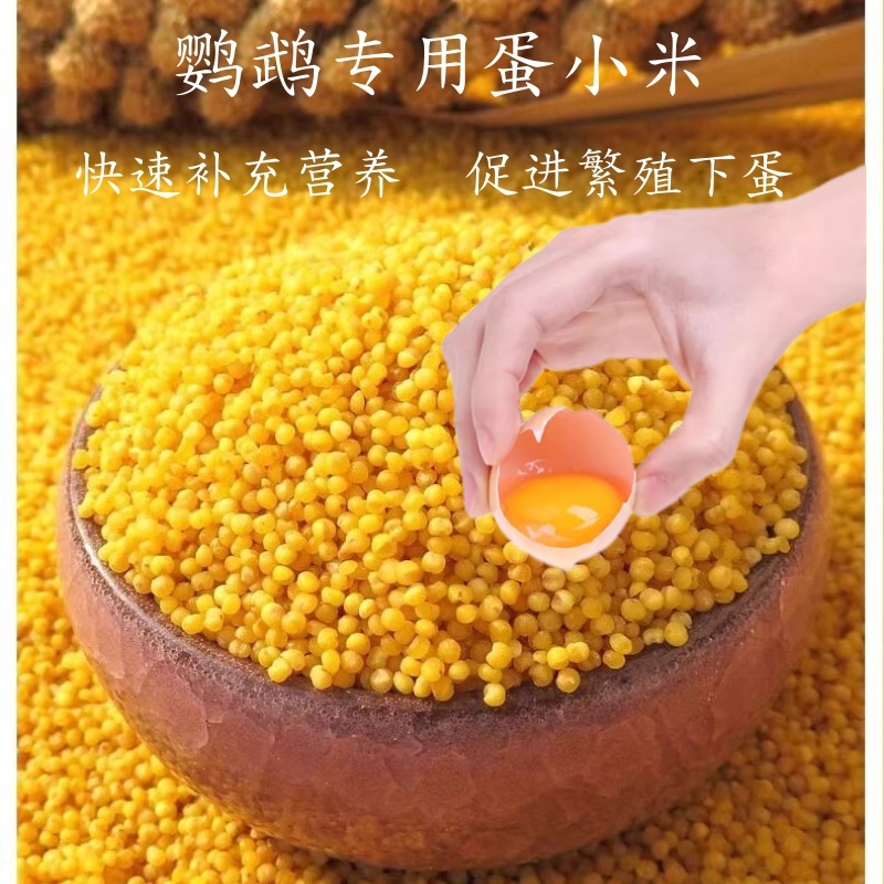 鹦鹉鸟粮蛋小米牡丹玄凤促进踩背繁殖下蛋幼鸟奶粉营养饲料鸡蛋米