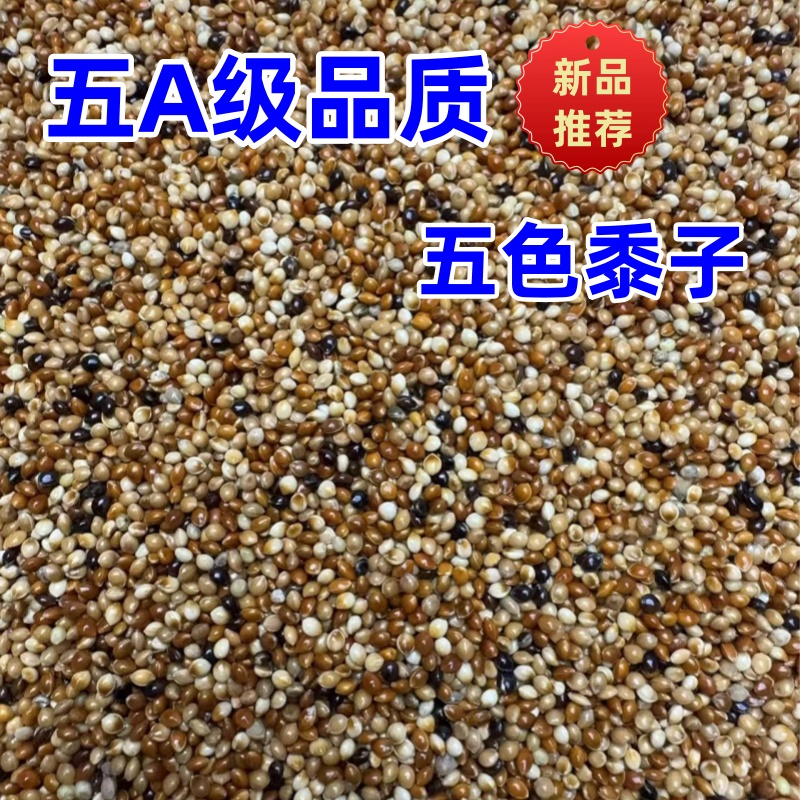 虎皮牡丹玄凤鸟粮鹦鹉鸟食饲料五色黍子鹦鹉混合粮谷子通用粮食