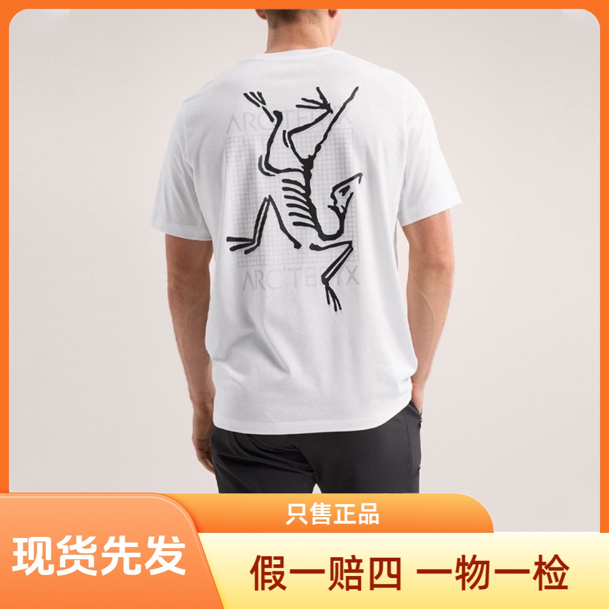 【国内现货】】始祖鸟 Multi Bird Logo Ss图案印花美式复古圆领短