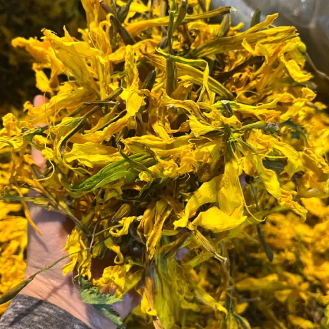 大兴安岭山上采的金针菜黄花菜250克/500克一份