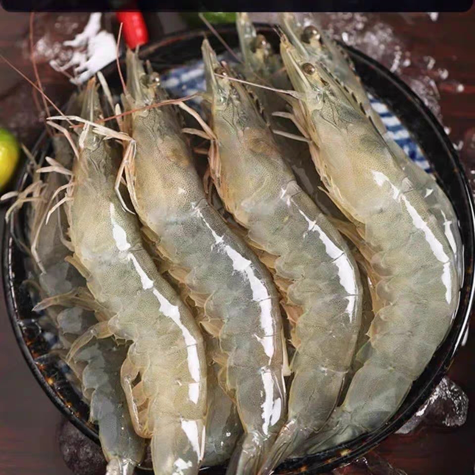 只发新疆南美对虾大个虾新鲜肥美 