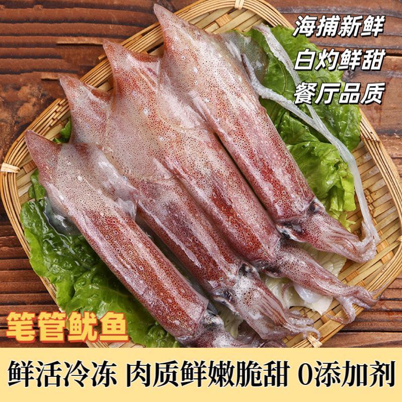 【只发新疆】海兔新鲜海捕鲜活销管鱿鱼 笔管鱼 3公斤 