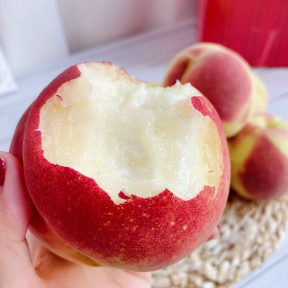 【冬桃树苗】10月份成熟 脆甜红心  南北方可种植 