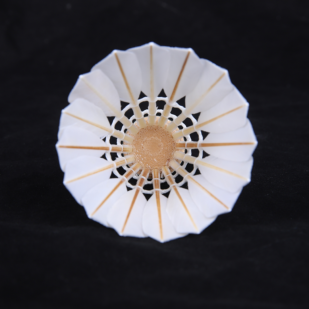 黄金大杆鸭毛12只装无标球训练用球家庭娱乐口粮球源头工厂店