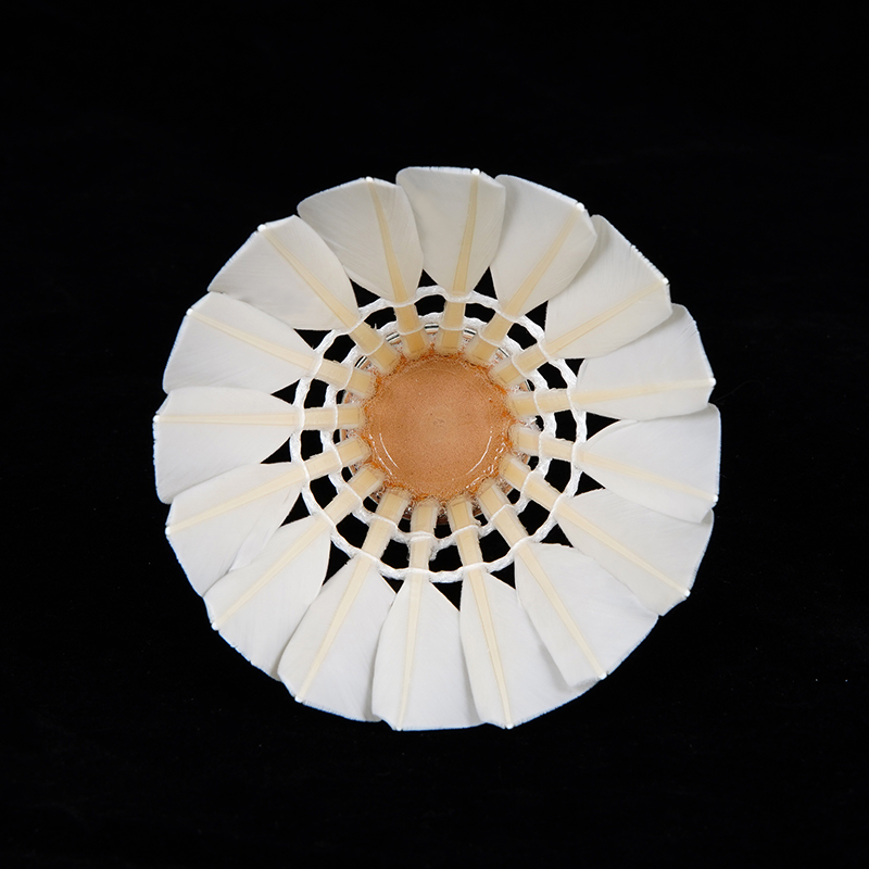 厂家批发鹅大刀驼背无标12支装比赛训练耐打适合扣球爆发力用球