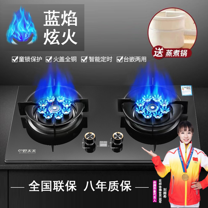 两用蓝焰智能9腔大火力双猛火带定时童锁功能猛火双灶燃气灶具