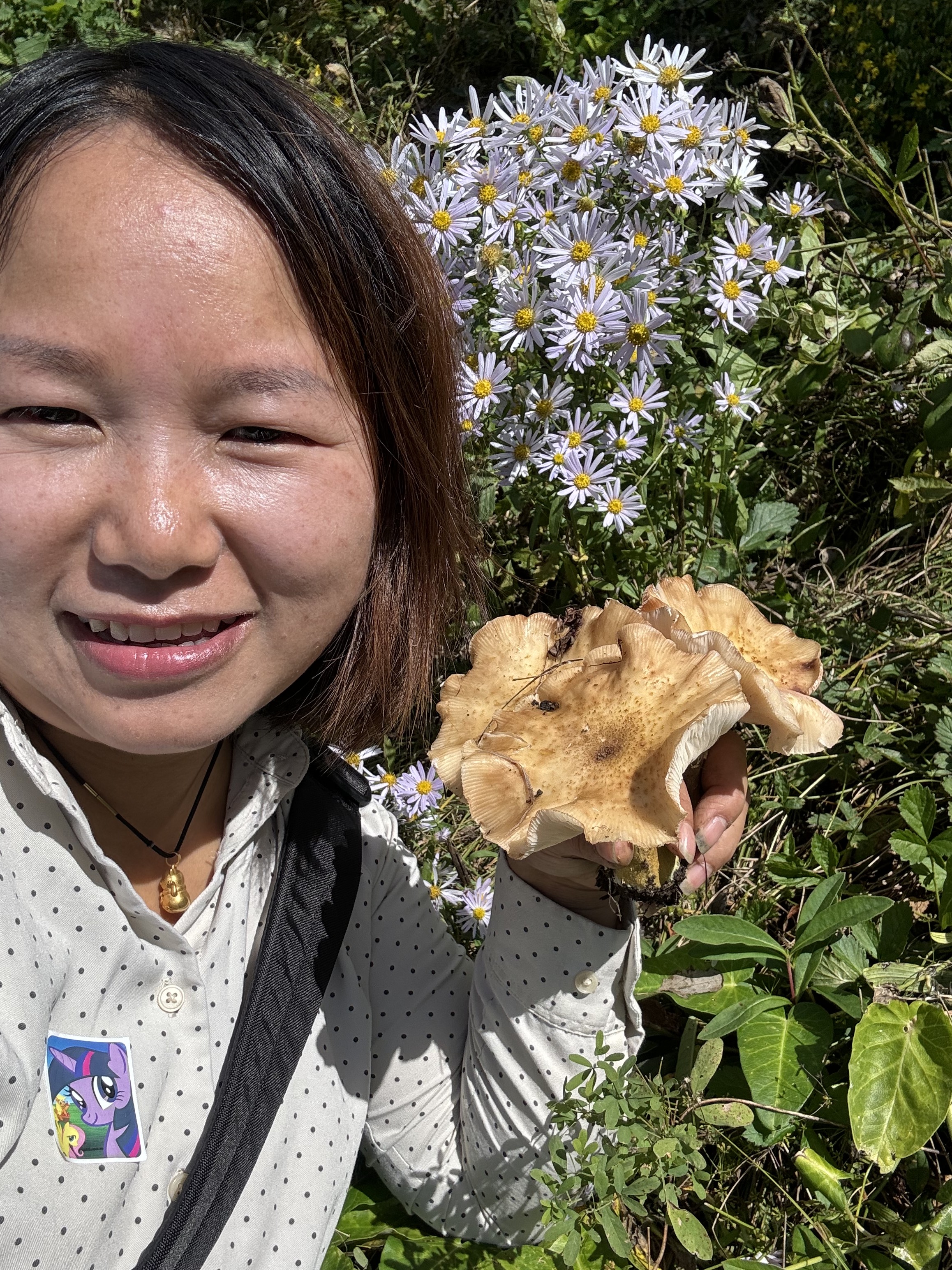 2025东北特产长白山野生榛蘑炖鸡煲汤很靓