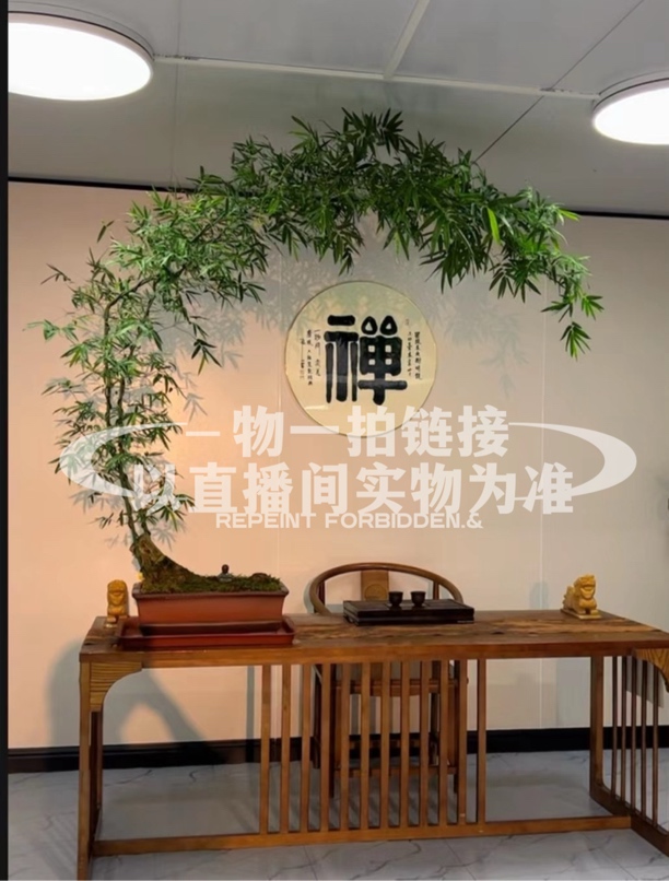 网红小叶簕竹熟桩盆景基地一物一拍室内空间好养易活四季常青