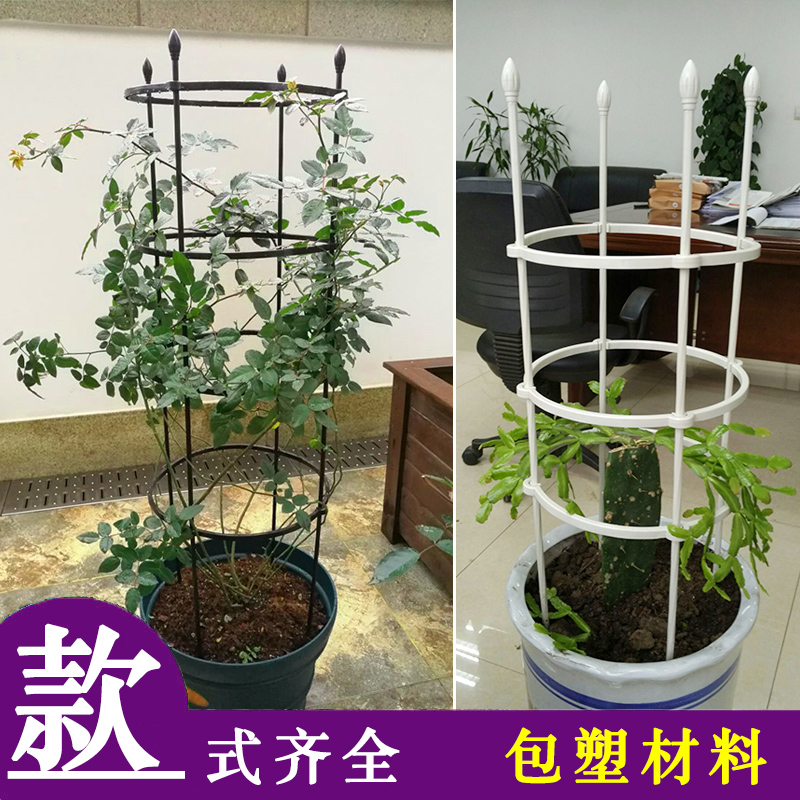 花架爬藤架月季花盆支撑支架玫瑰架子蓝雪花蟹爪兰藤架固定攀爬杆