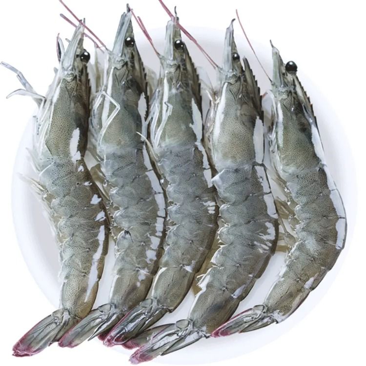 基围虾 500g±50g(保鲜不保活)
