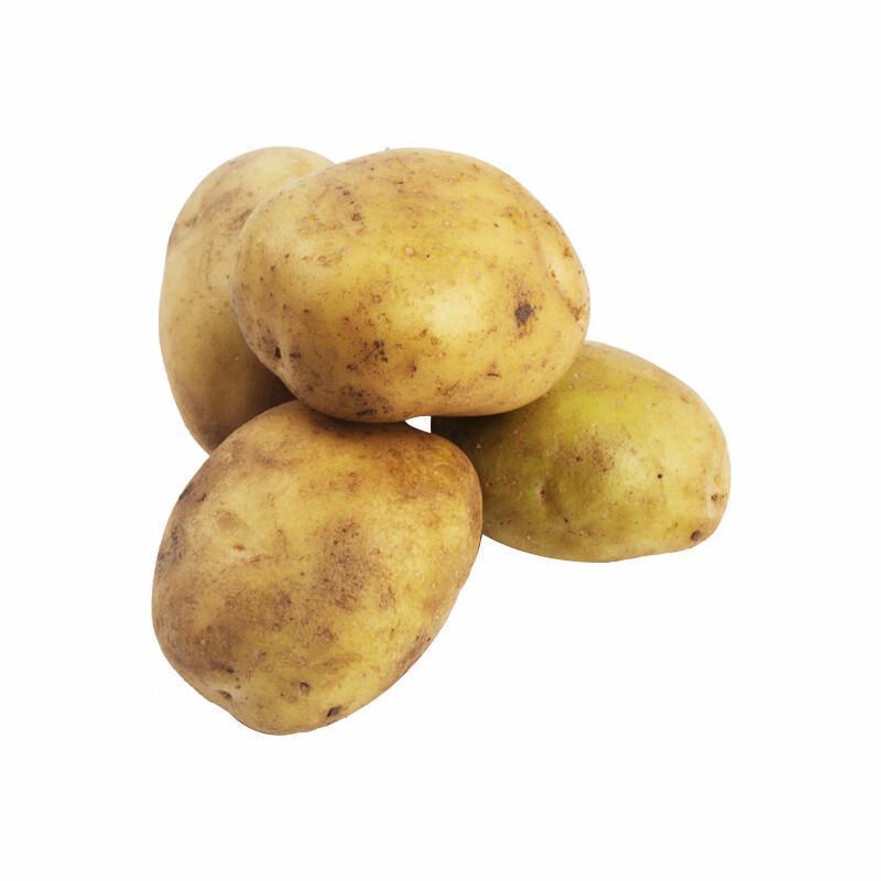 新鲜土豆 800-1000g【平价系列】