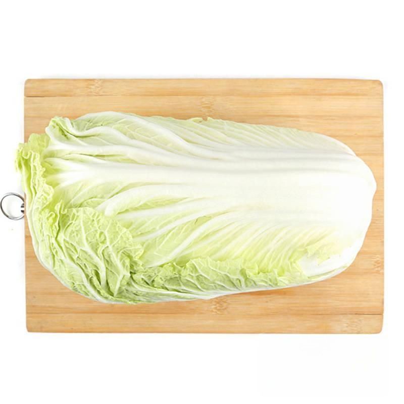 大白菜 约1.4-1.6kg