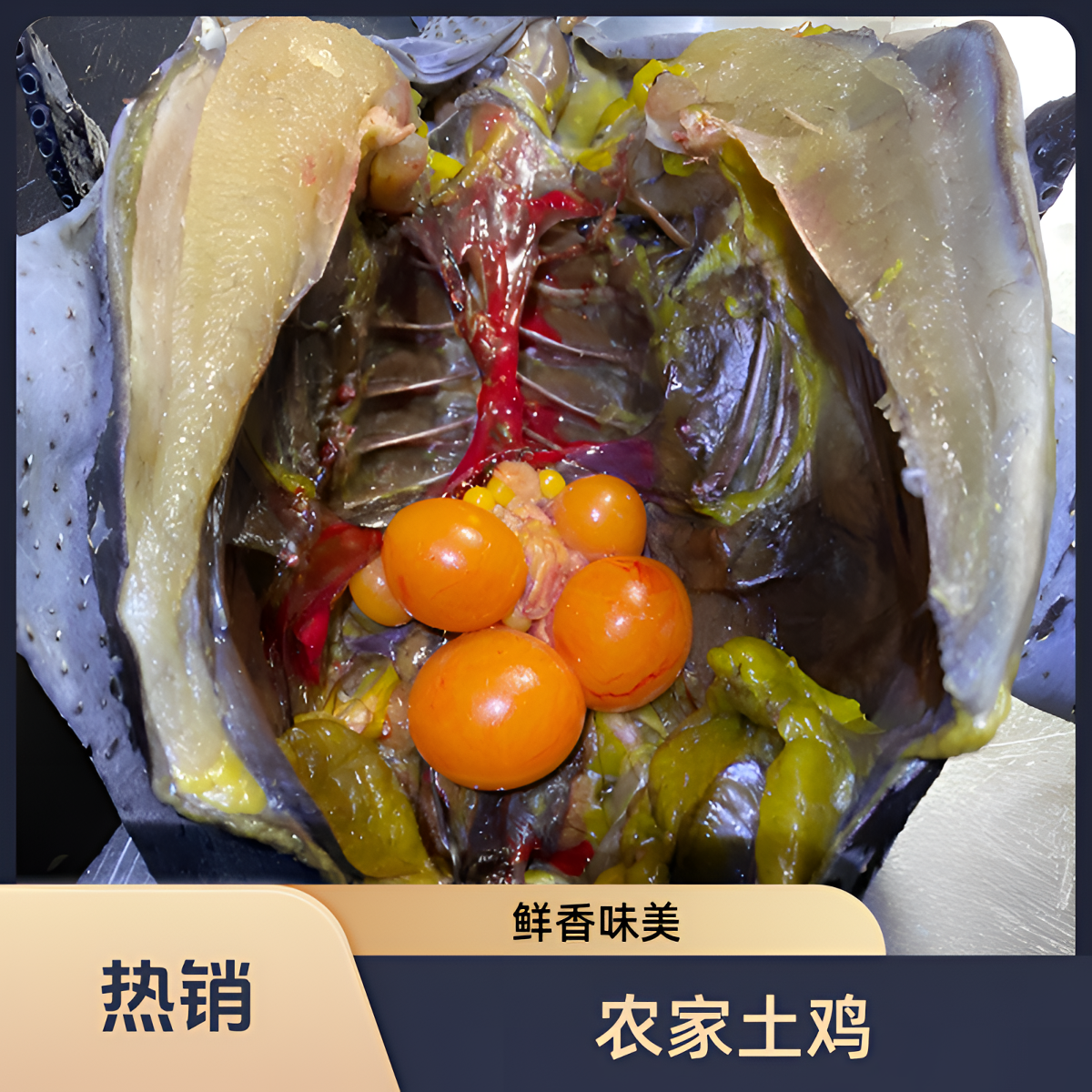 四川农家粮食散养土鸡煲汤黄油老母鸡顺丰空运包邮 包冰率20%-25%