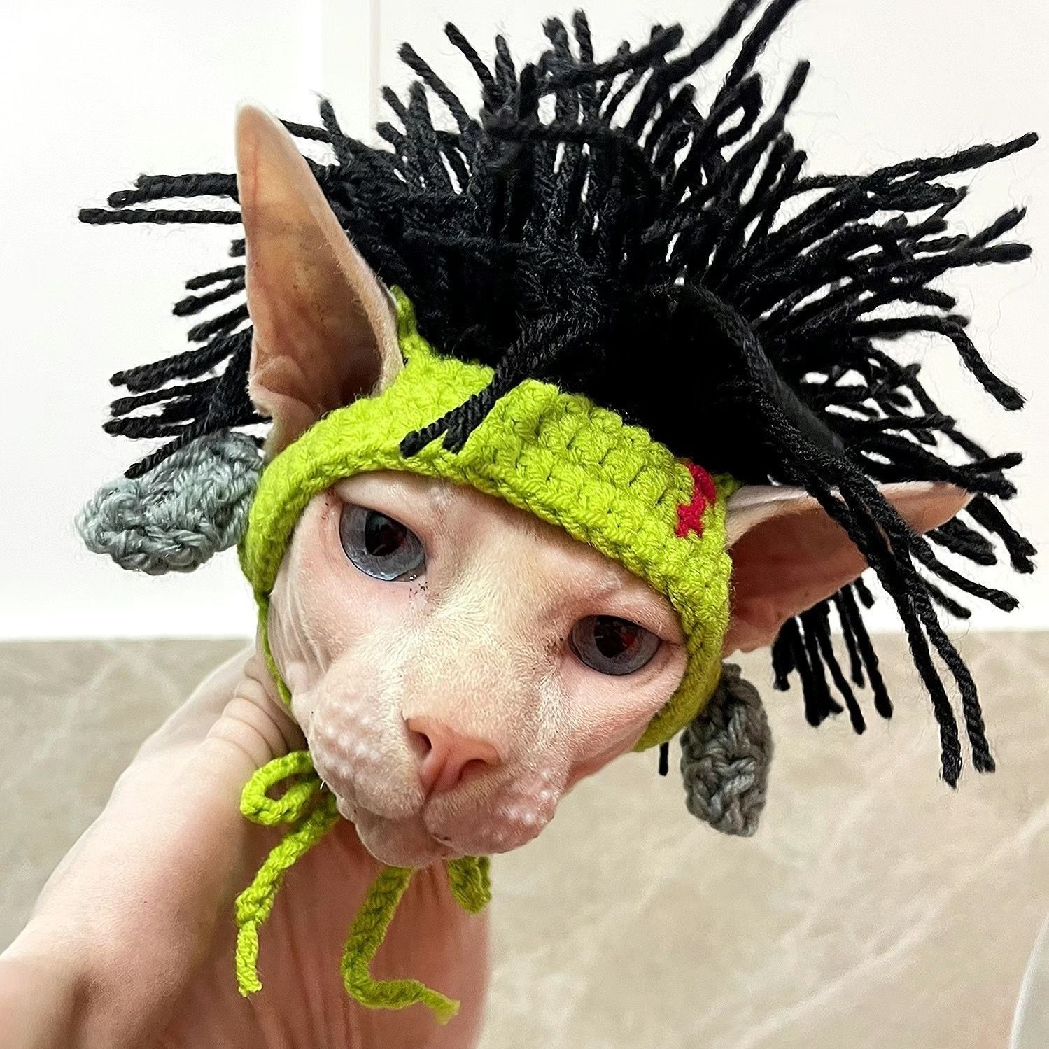 猫咪搞笑帽子无毛猫斯芬克斯头套狗狗德文朋克雷鬼摇滚风装饰变装