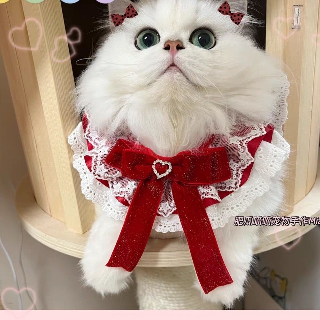 狗狗猫咪口水巾宠物项脖圈可爱蕾丝围脖领结饰品泰迪比熊围兜围嘴