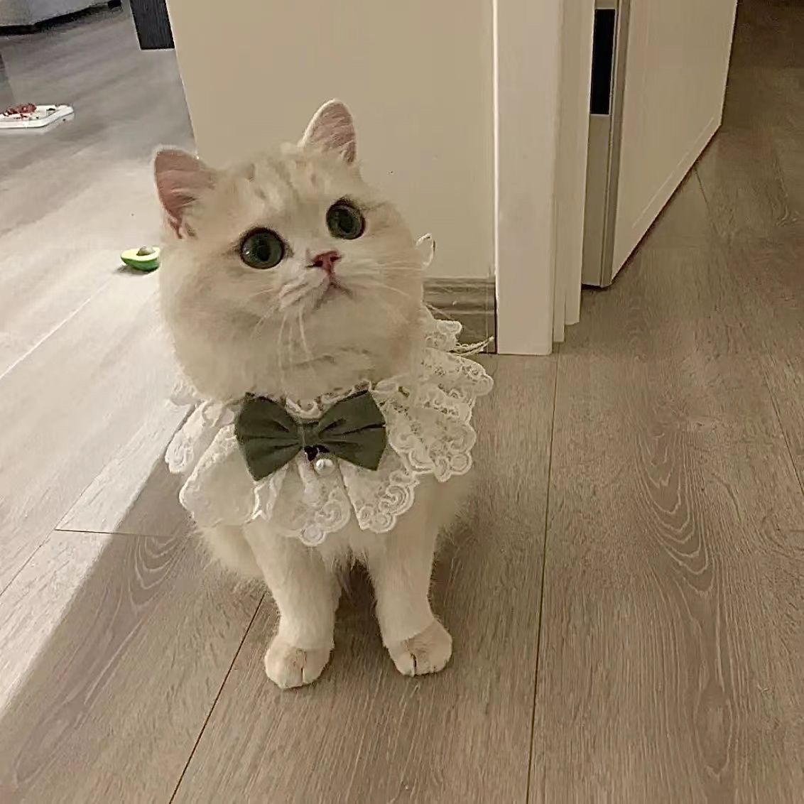 猫咪围脖夏天蕾丝项圈装饰狗狗围巾宠物口水巾蝴蝶结可爱铃铛围兜