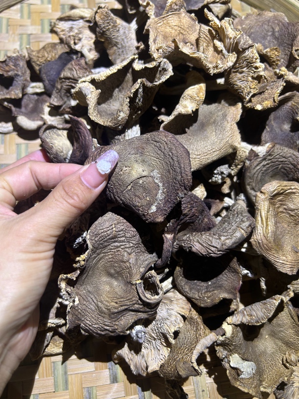 纯天然野生梨菇干