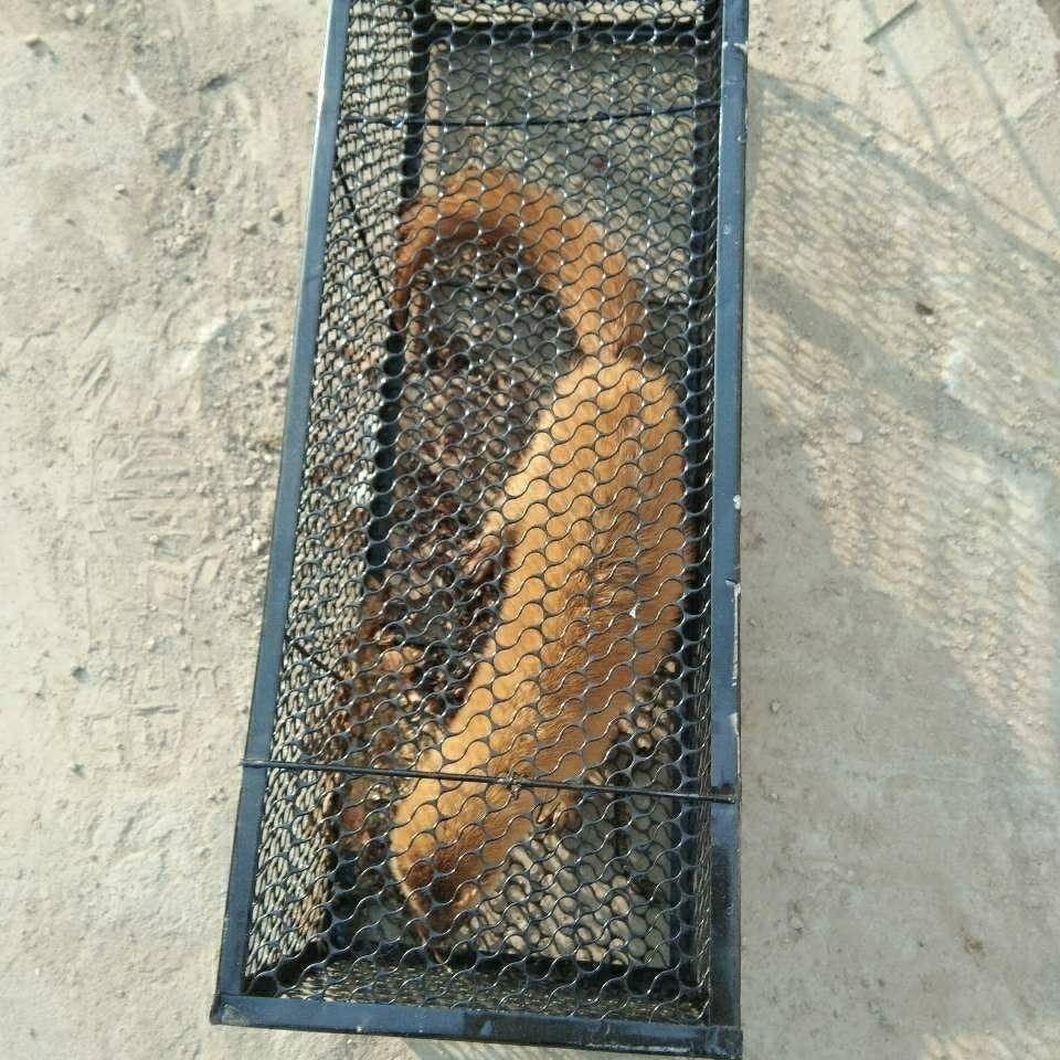 捕猫笼捕猫神器全自动捕猫笼子抓猫神器救助猫笼捉猫捕鼠逮猫工具