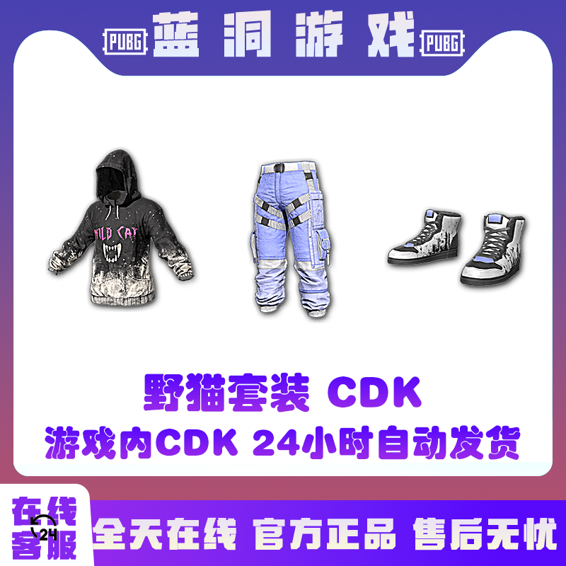 PUBG绝地求生野猫套装WILD CAT SET激活码CDK兑换码