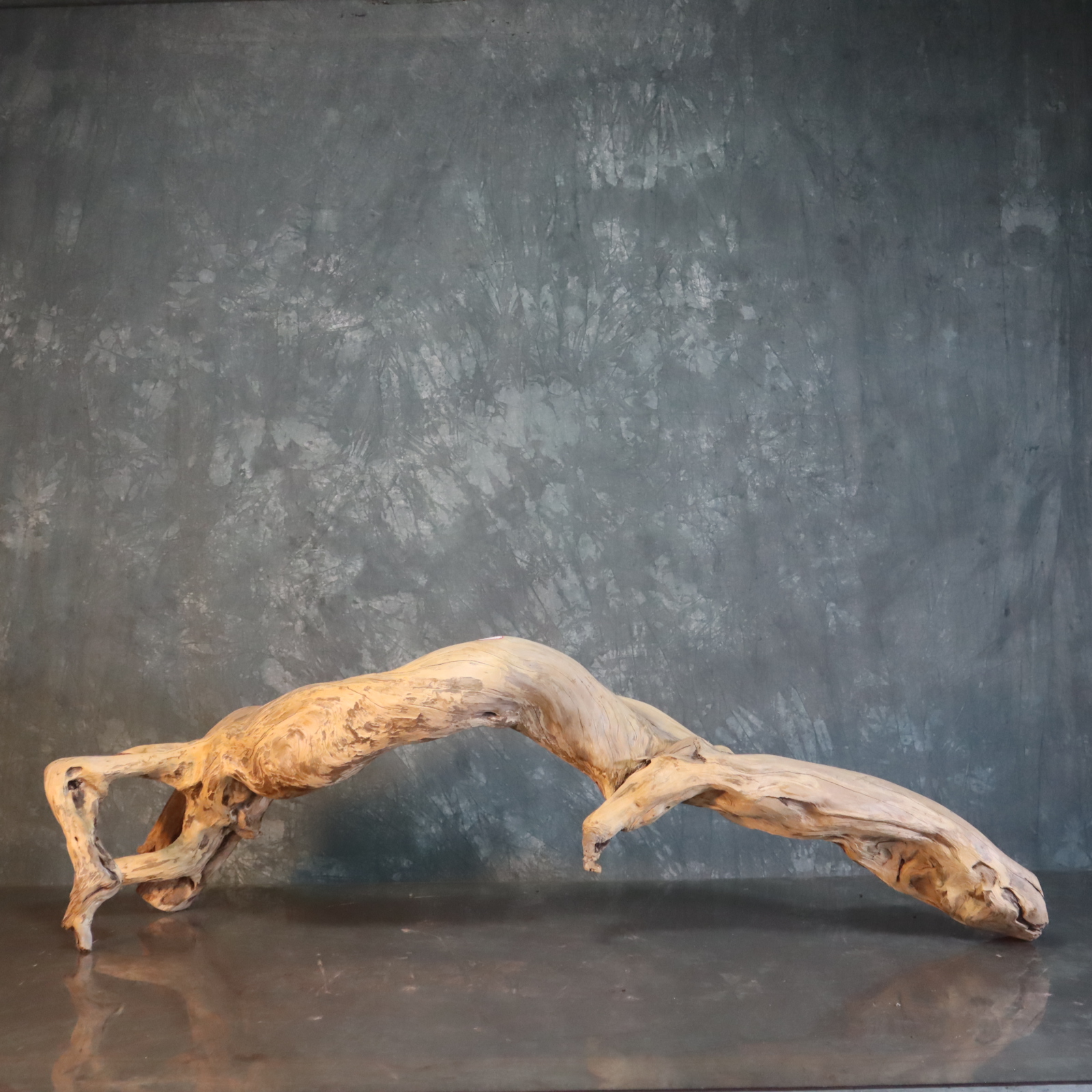 水族鱼缸造景沉木鬼柳尺寸：150*30*43包邮包煮