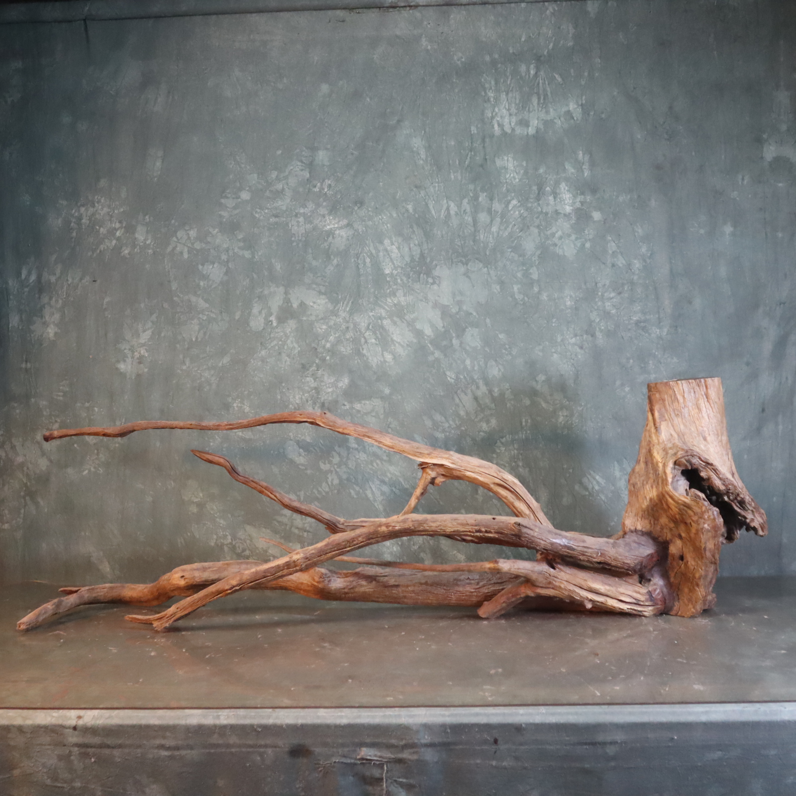 水族鱼缸造景沉木紫柚木尺寸：183*33*57包煮