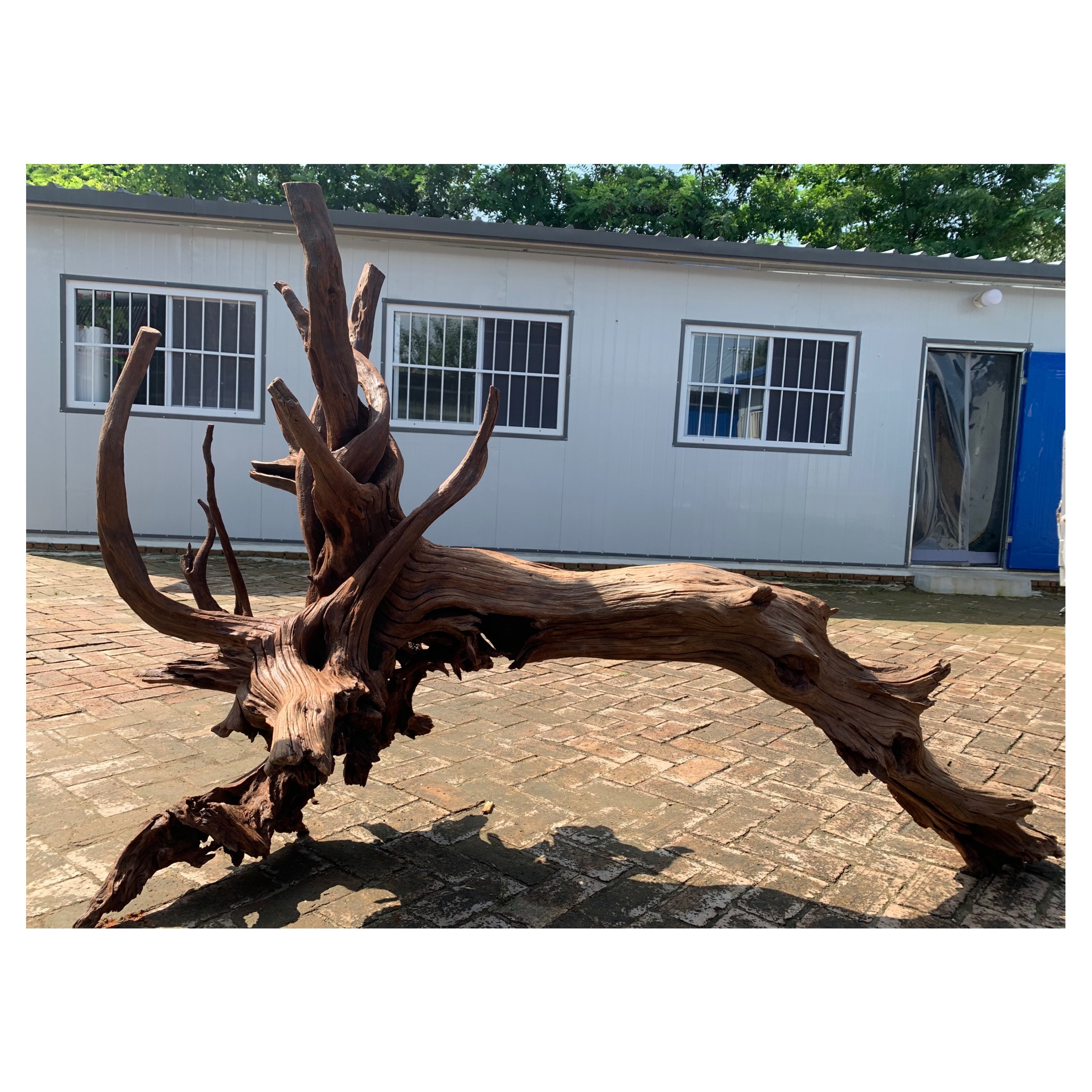 紫砂 鱼缸造景紫柚木  2.06*90*1.3