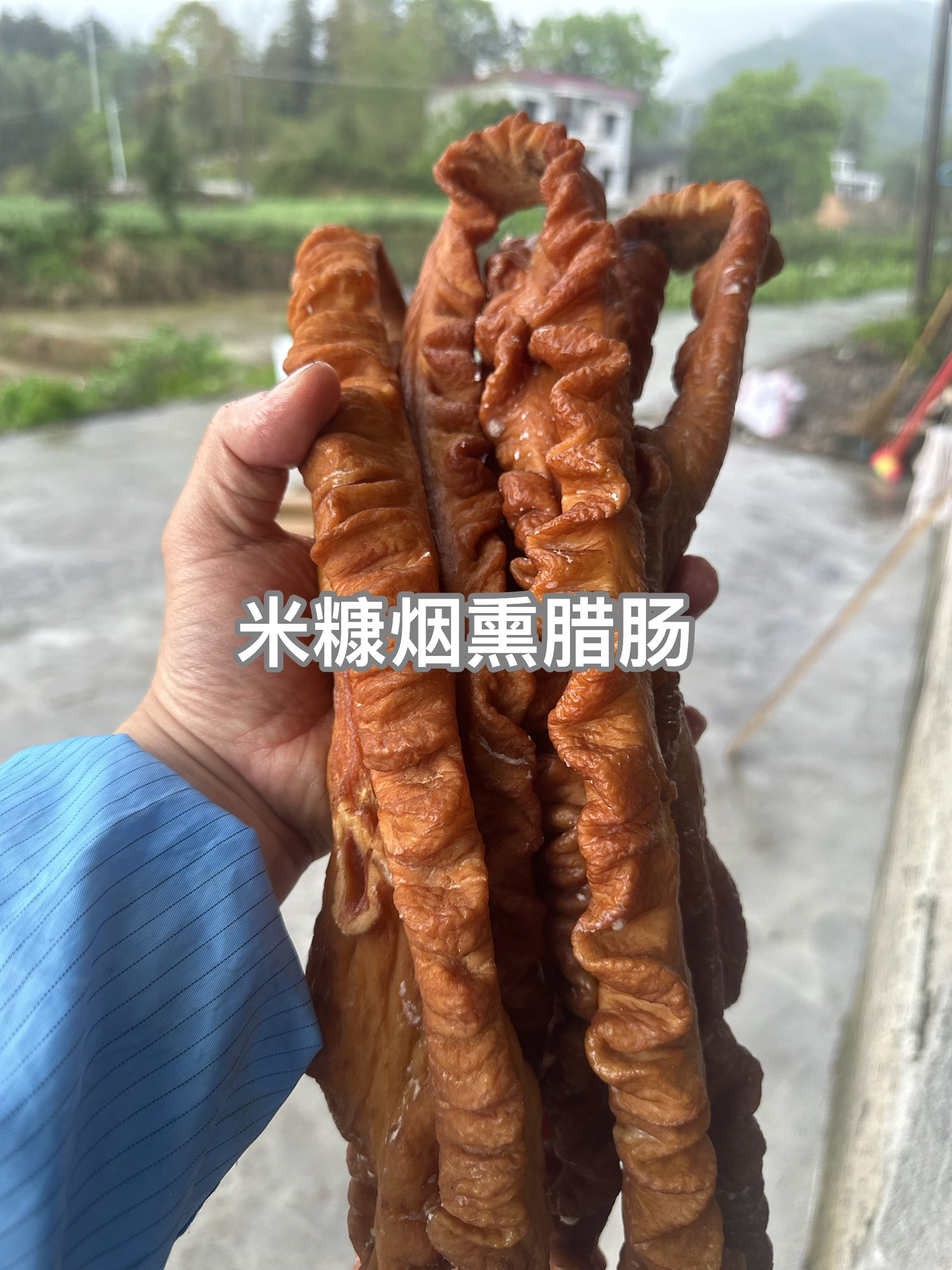 农家米糠烟熏腊猪大肠纯手工鲜肠熏制湖南特产腊肠