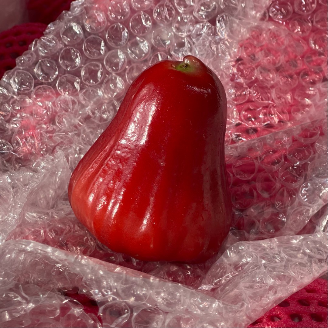果切【鲜果】莲雾1个（切）150g左右