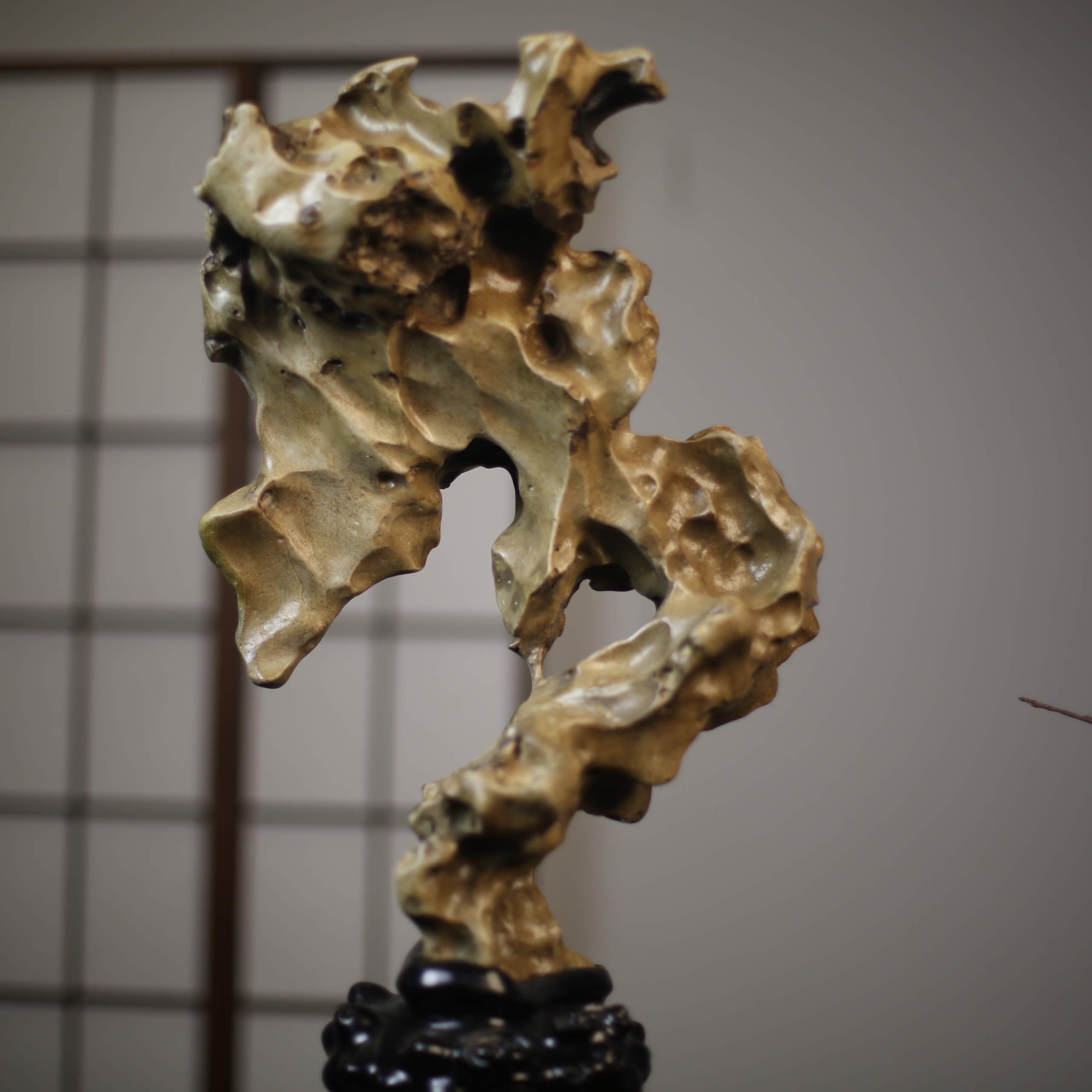 太湖石老藏《龙吟》