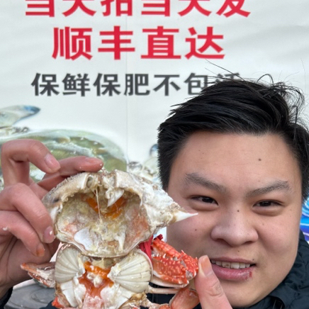 连云港鲜活发货三点红满黄梭子蟹3-4两左右保鲜不包活