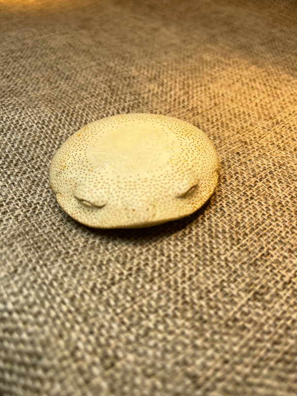 小小杯垫