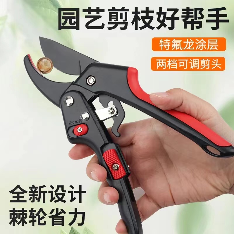 果树修枝剪树枝粗枝园艺剪刀花艺花卉枝剪子树剪园林工具花剪修剪