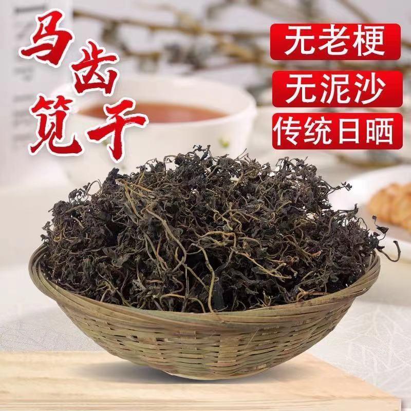 苏北盐阜特色麻菜新鲜滨海老家的味道2024年马齿笕菜天然农户自家