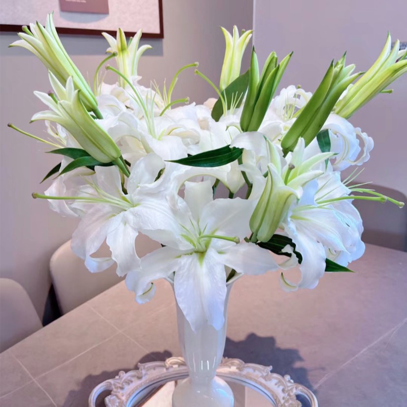 （西伯利亚）百合水培花鲜花基地顺丰包邮点缀办公室优质可选养护