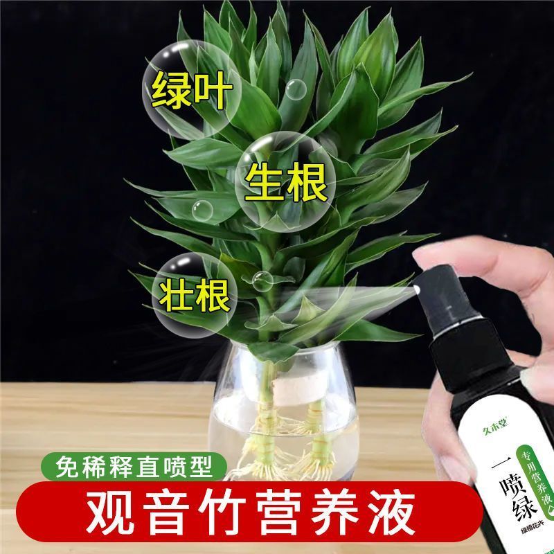 观音竹营养液水养转运专用黄叶枯萎烂根生根壮苗液体微量元素肥
