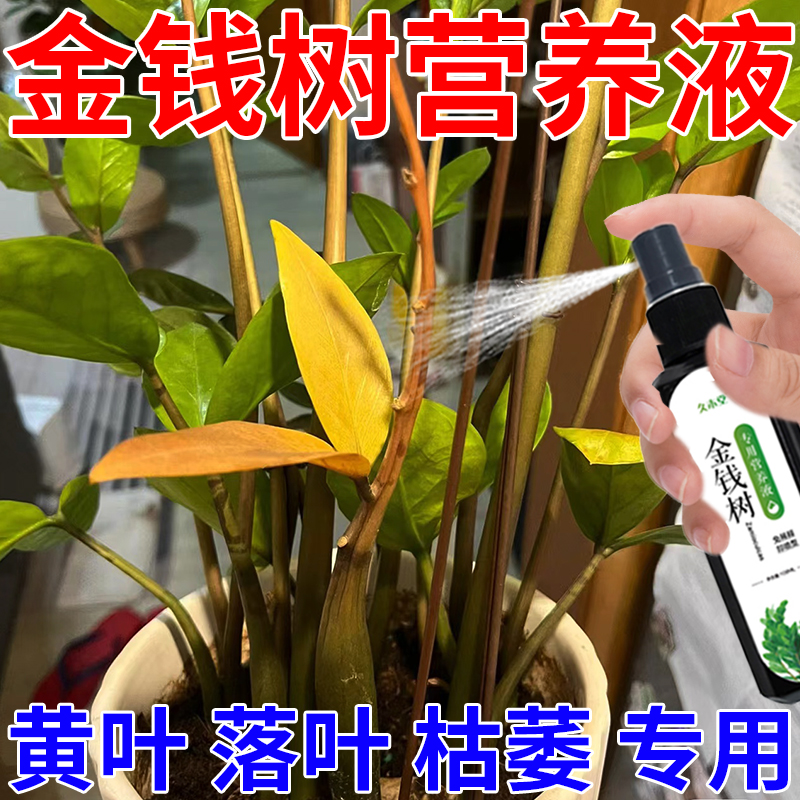 【黄叶专用】金钱树营养液增效催芽防黄叶烂根液体肥免稀释专用肥
