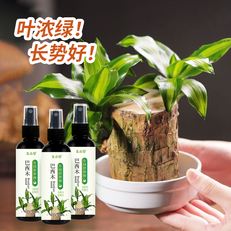 久木堂巴西木营养液专用促芽剂助生长生根发芽水培土培通用肥料