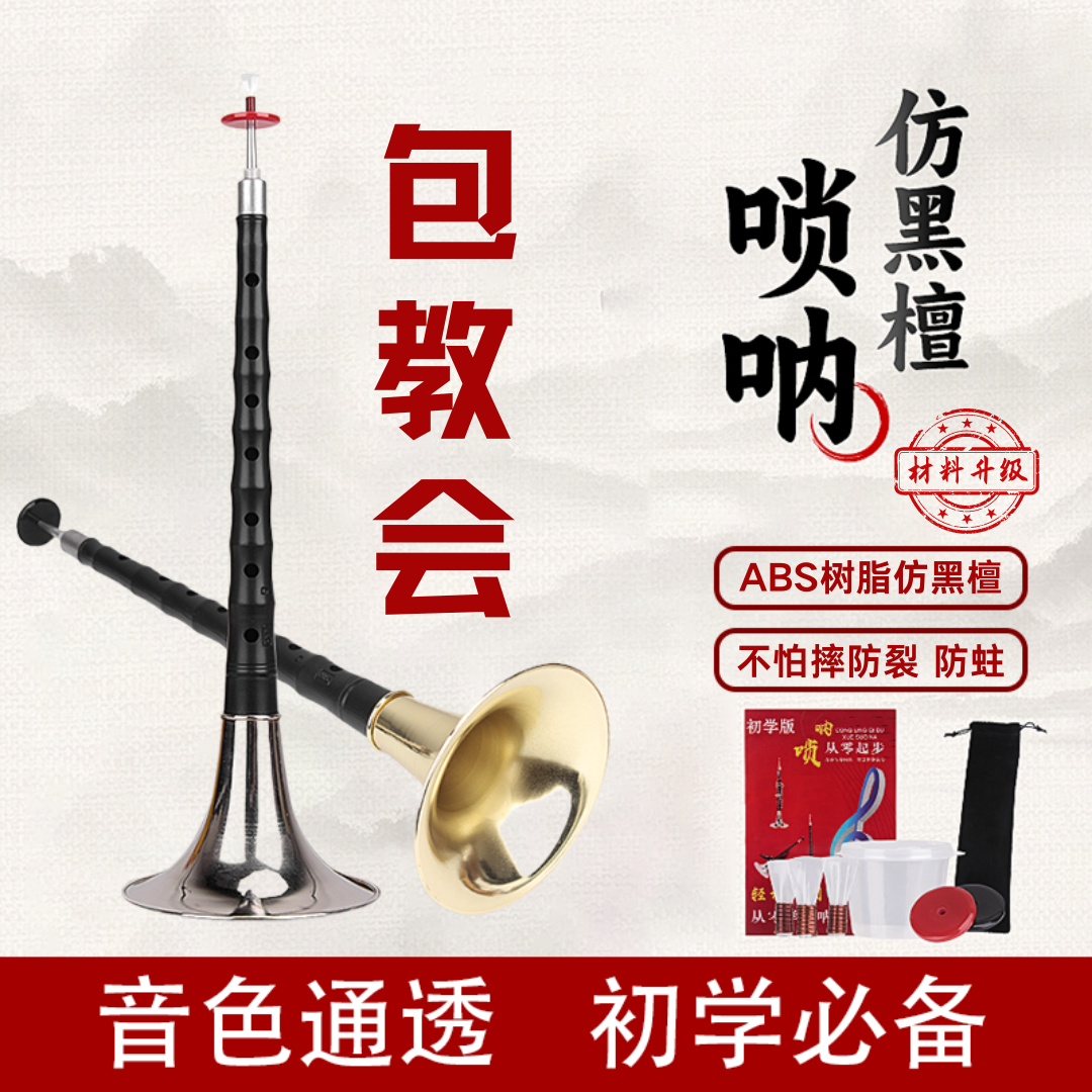 专业演奏仿黑檀唢呐乐器D调成人初学者必入小号喇叭哨片全套配件