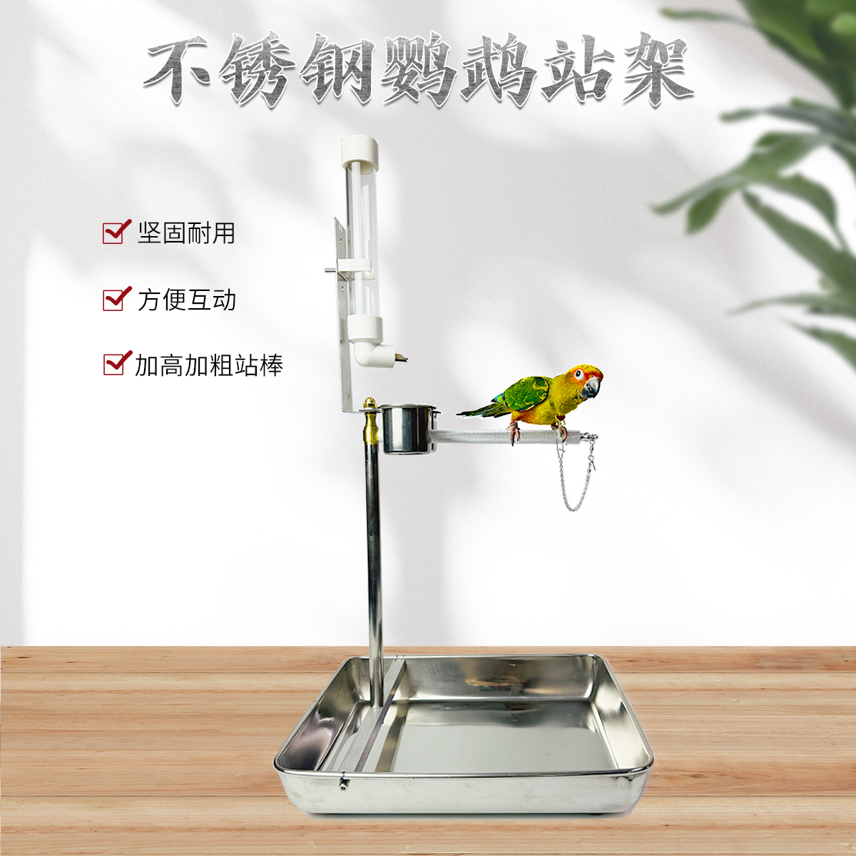撞针饮水器鹦鹉站架不锈钢玄凤和尚小太阳吸密滚花磨爪鸟新款鸟架
