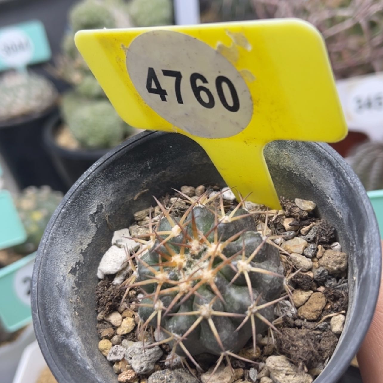 【闪购商品】47604760