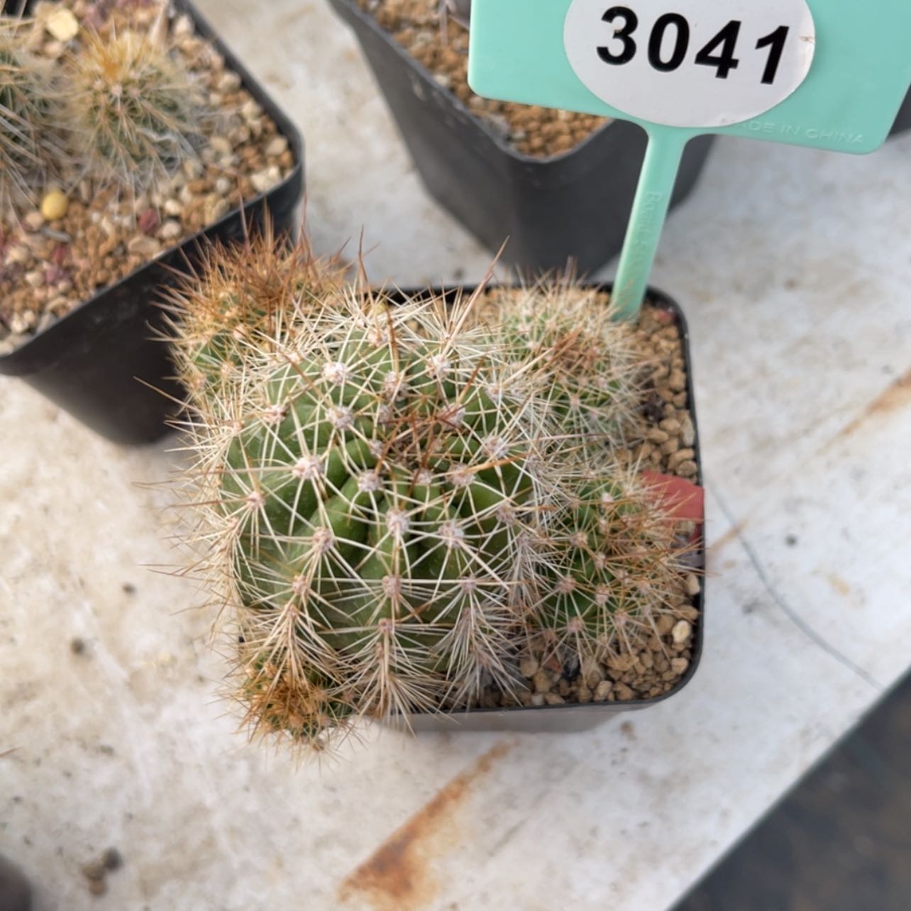 【闪购商品】30413041