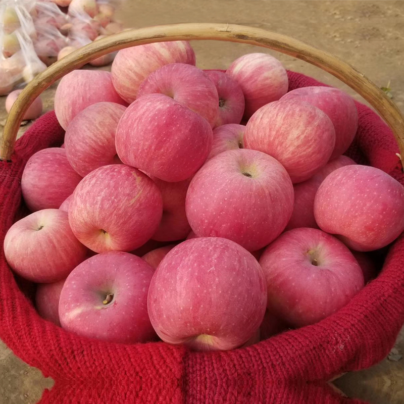 4.5斤2025年高山红富士苹果新鲜水果当季整箱农家脆甜多汁苹果