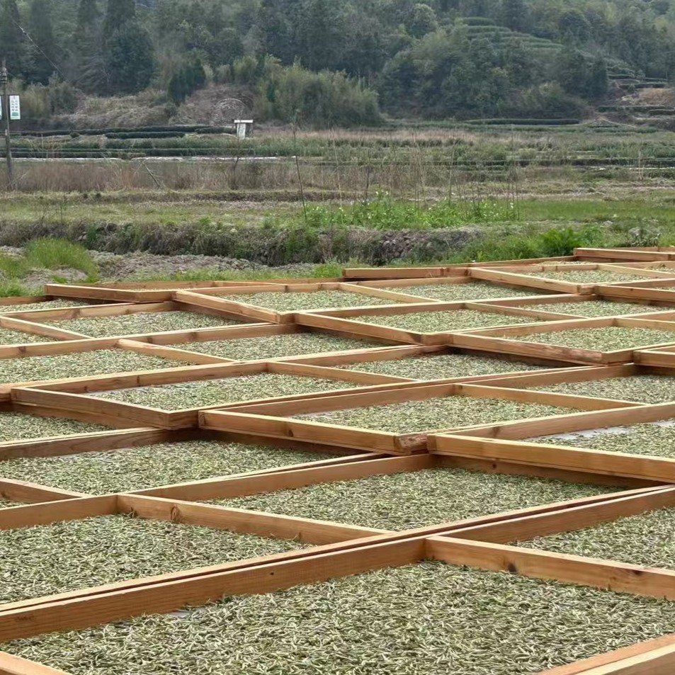 元旦福利 偏碎 2016 老白茶50克