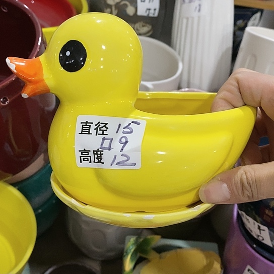 红陶20CM（含）-50CM（不含）